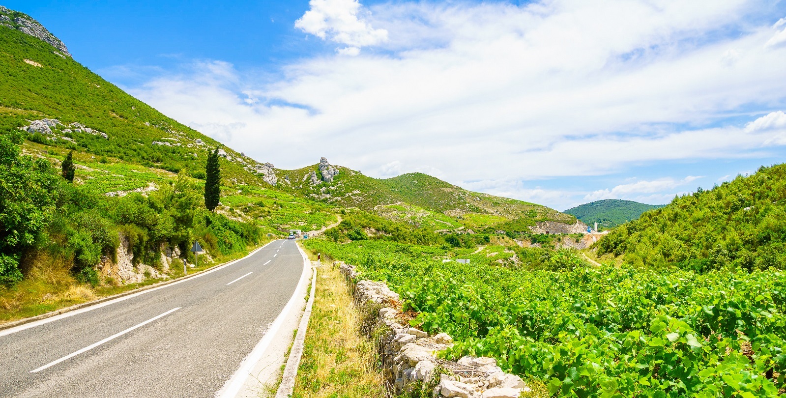 Pelješac: A Perfect Summer Day outside Dubrovnik