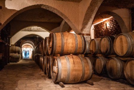 Trsteno & Pelješac Wine Tasting